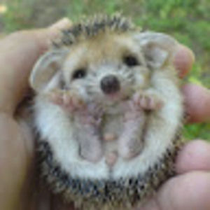 Meet your Posher, Kelly